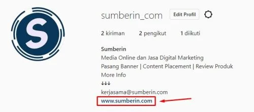 Cara Membuat Situs Web di Bio Instagram