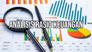 analisis rasio keuangan