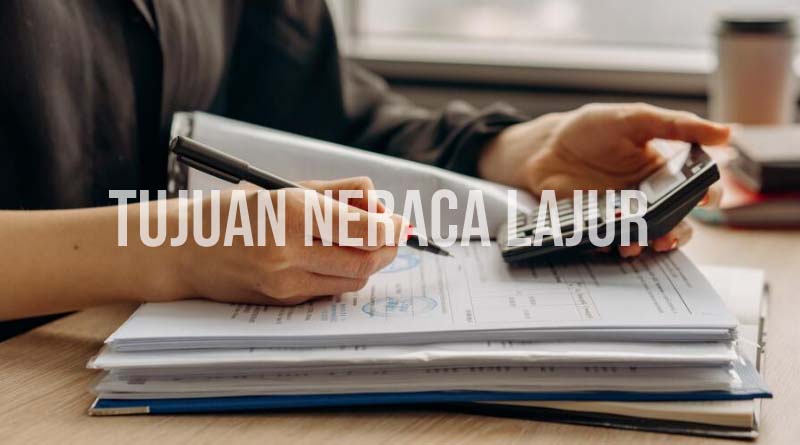 tujuan neraca lajur