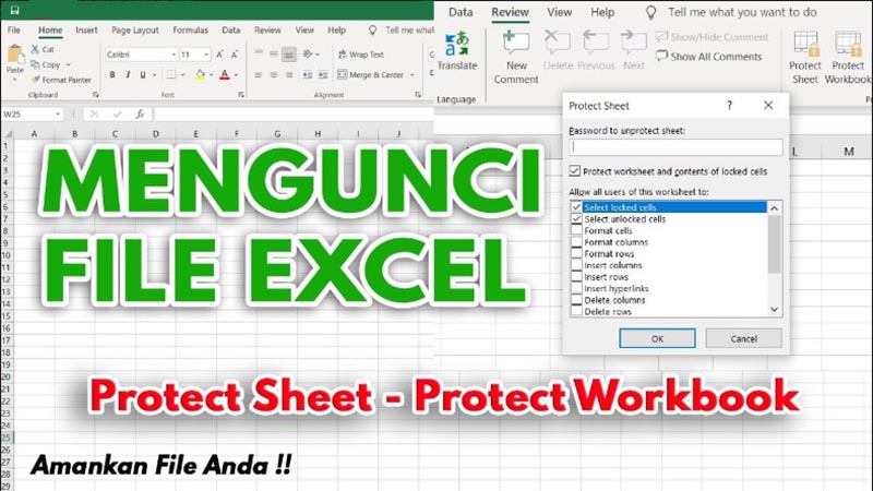 cara mengunci file excel agar tidak bisa diedit
