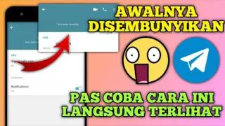 cara mengetahui nomor telegram yang disembunyikan