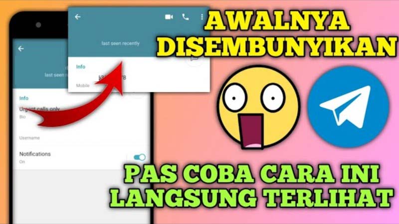 cara mengetahui nomor telegram yang disembunyikan
