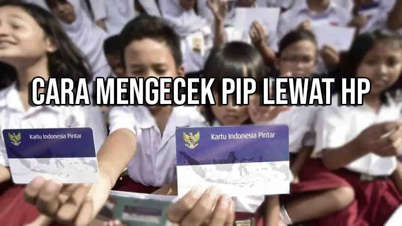 cara mengecek pip lewat hp